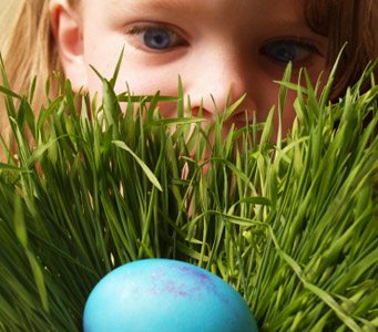 Easter Egg Hunt