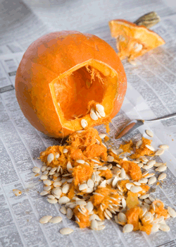 Halloween Pumpkin Cleaning