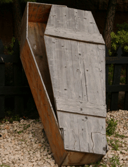 Halloween Decorations Coffin